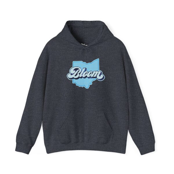 Bloomin' Ohio Hoodie - Image 8